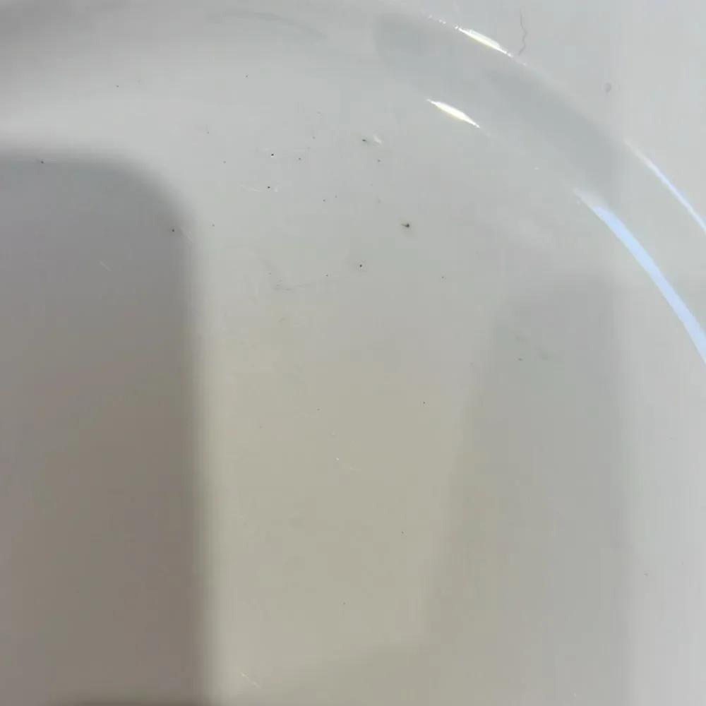 Pottery Barn White Ceramic Dinnerware Plate 10 1/2 Inches Round Deep Bowl Modern